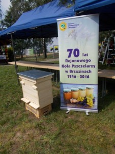 Plichtów Święto Pszczoły 2017