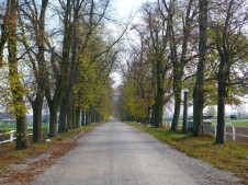 Walewice 2019 konferencja 100 tysięcy drzew