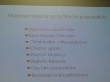 XXV Krajowa Konferencja Pszczelarska Częstochowa '2019