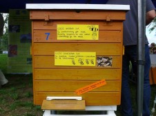 Święto Pszczoły Plichtów 2016